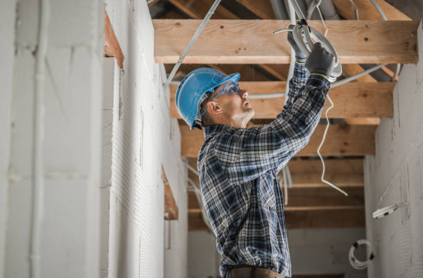 Best Electric Panel Repair  in Port Allegany, PA